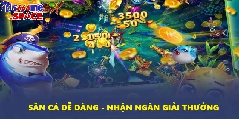 ban ca ica anh dai dien