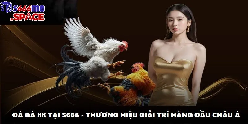 da ga 88 anh dai dien