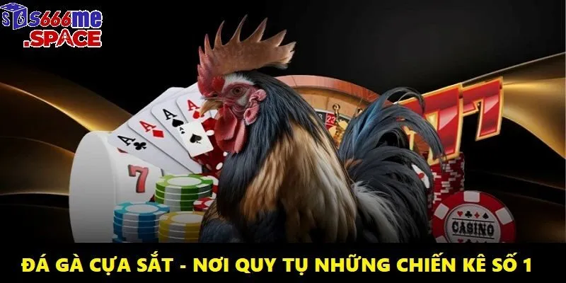 da ga cua sat anh dai dien